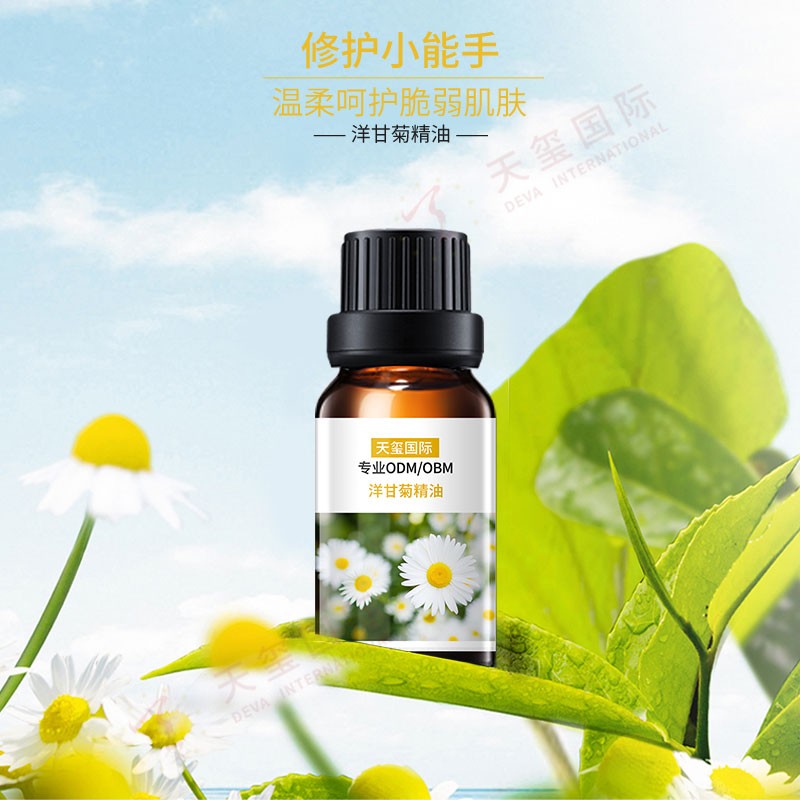 洋甘菊精油-舒緩修護精油代加工乾翔，溫柔呵護脆弱肌膚